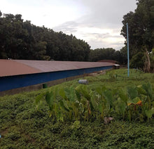 Load image into Gallery viewer, poultry farm for sale in rosario, batangas
